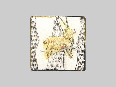 Capricorne (5 x 5) - 2010