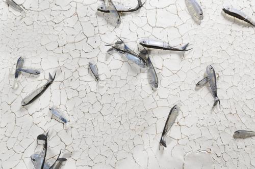 Terre-aride-1-detail